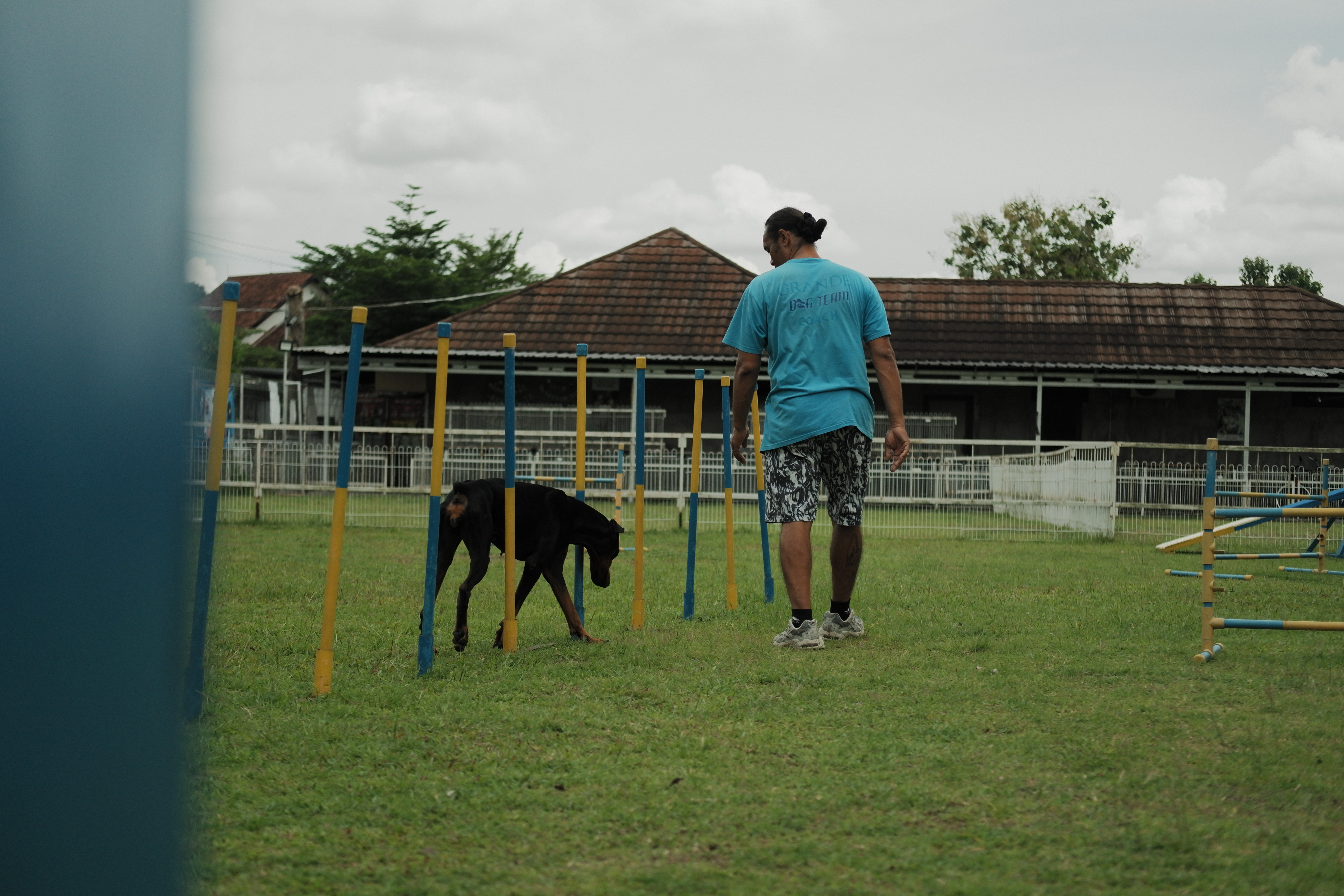 Grande Pet Zone